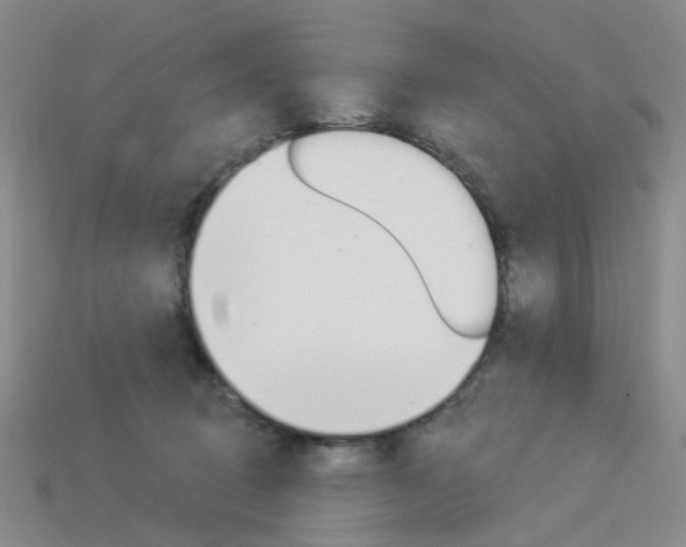 X0000114100370200910051235