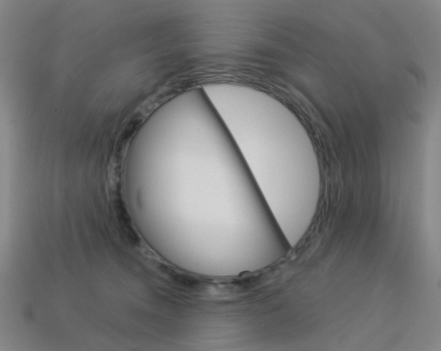 X0000114100372200910051235