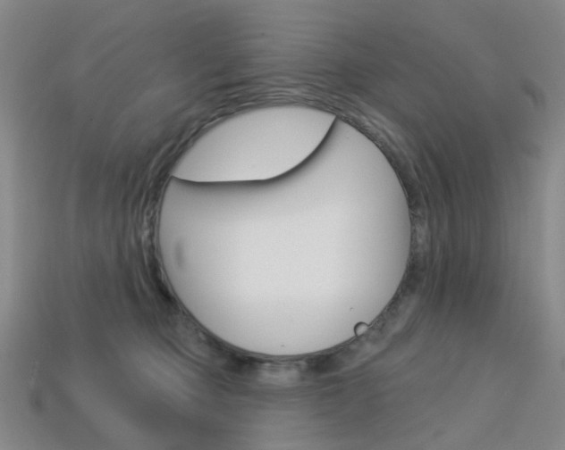 X0000114100373200910051235