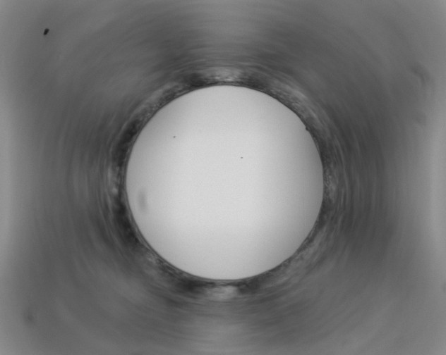 X0000114100374200910051235