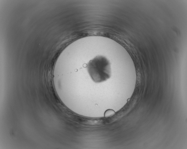 X0000114100375200910051235