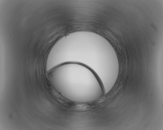 X0000114100376200910051235