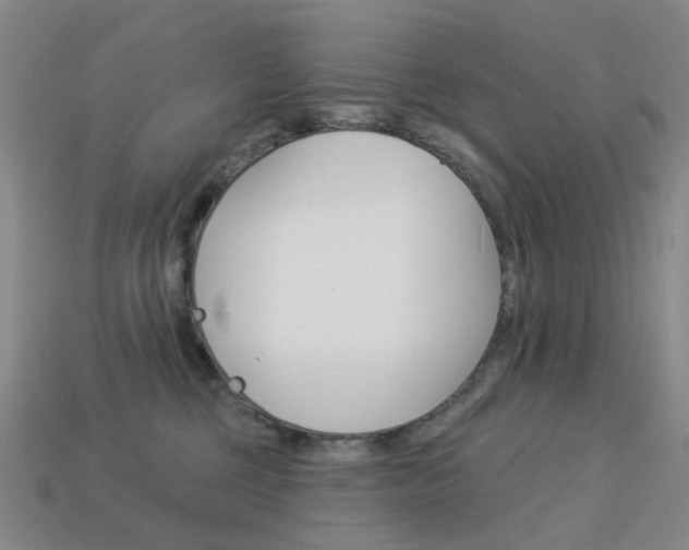 X0000114100377200910051235