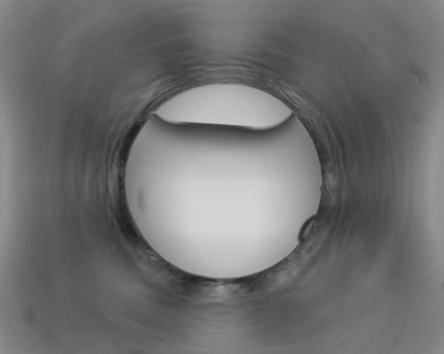 X0000114100379200910051235