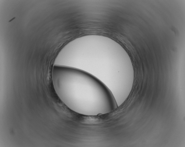 X0000114100380200910051235