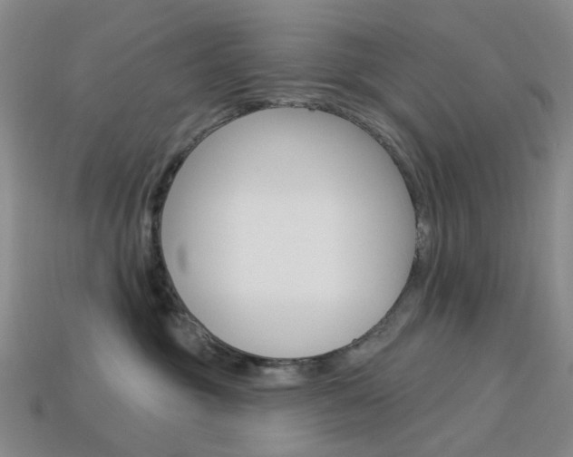 X0000114100381200910051235