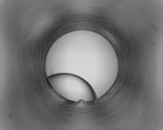 X0000114100382200910051235