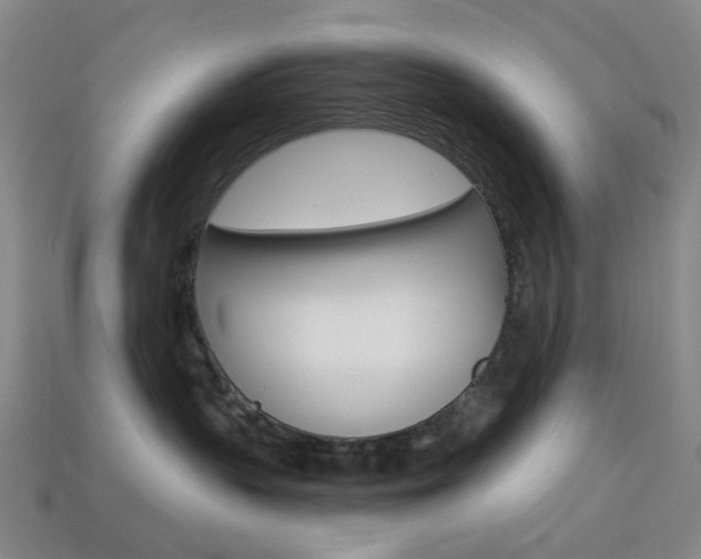 X0000114100383200910051235