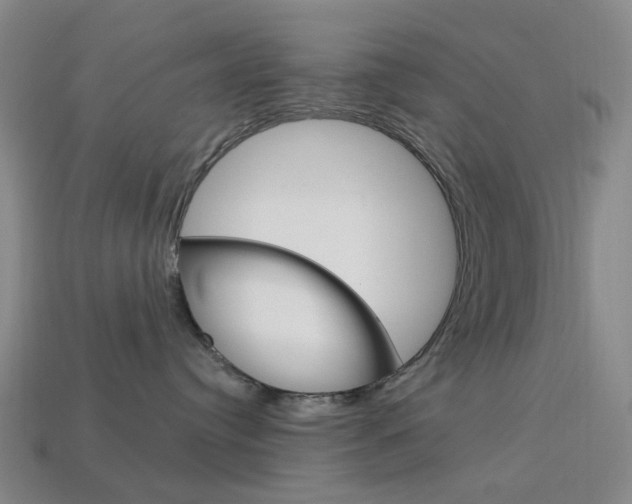 X0000114100384200910051235