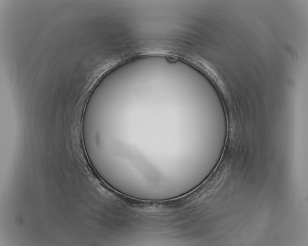 X0000114100385200910051235