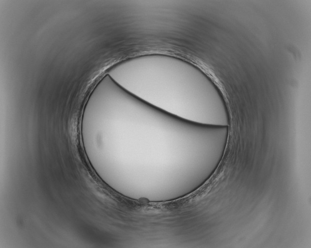 X0000114100386200910051235