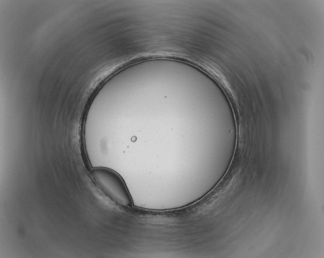 X0000114100389200910051235