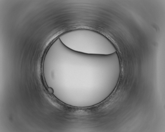 X0000114100390200910051235