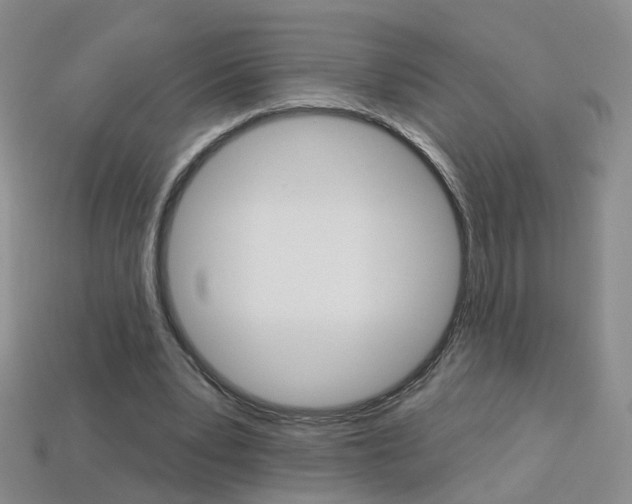 X0000114100391200910051235