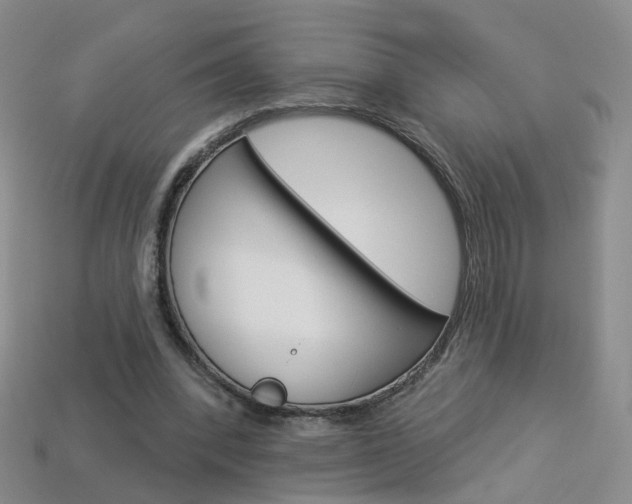 X0000114100392200910051235