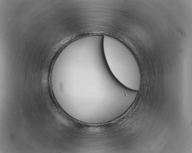 X0000114100394200910051235