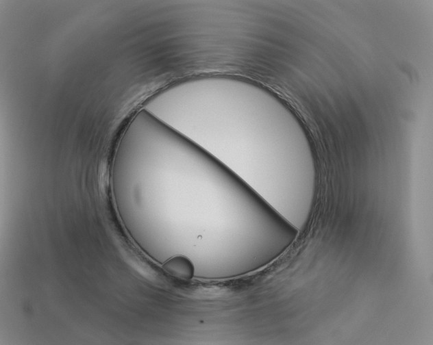 X0000114100397200910051235