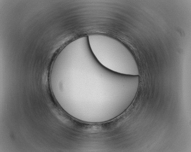 X0000114100398200910051235