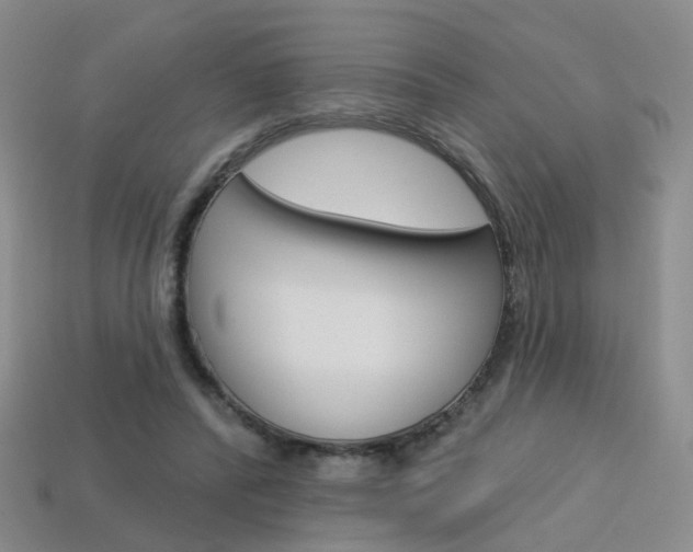 X0000114100400200910051235