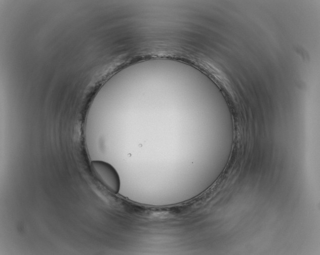 X0000114100401200910051235