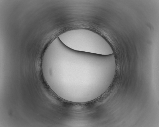 X0000114100402200910051235