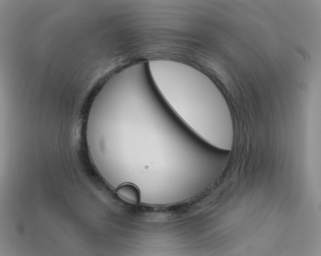 X0000114100404200910051235