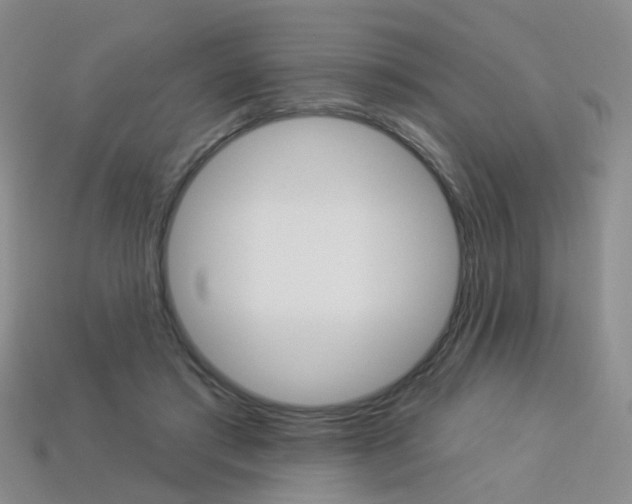 X0000114100405200910051235