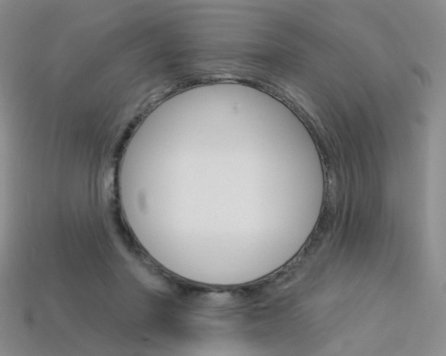 X0000114100406200910051235