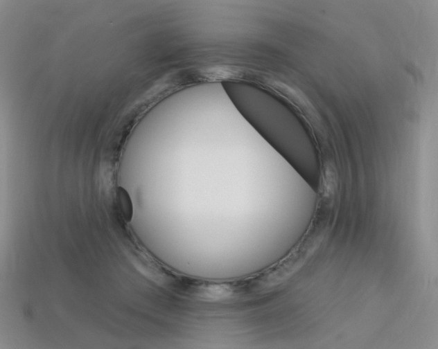 X0000114100409200910051235