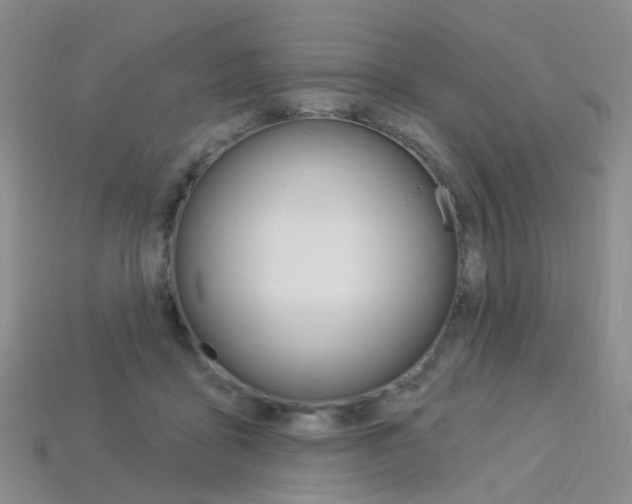 X0000114100411200910051235