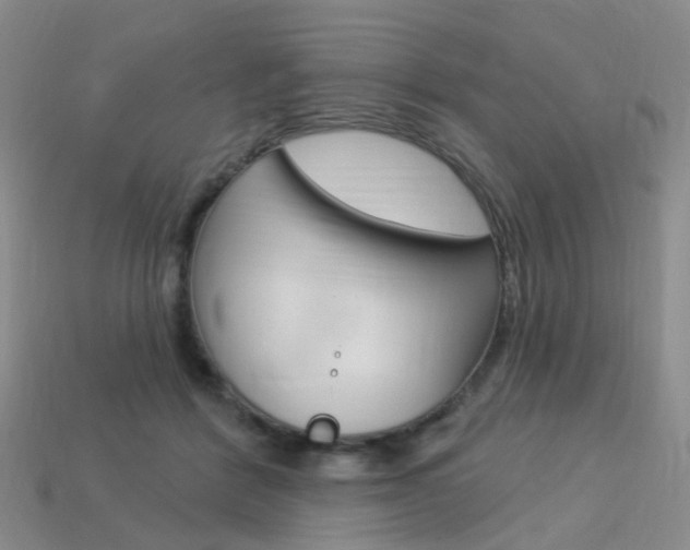 X0000114100412200910051235