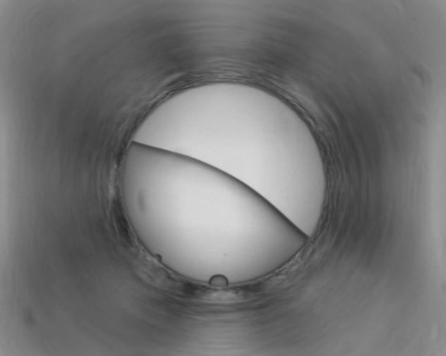 X0000114100413200910051235