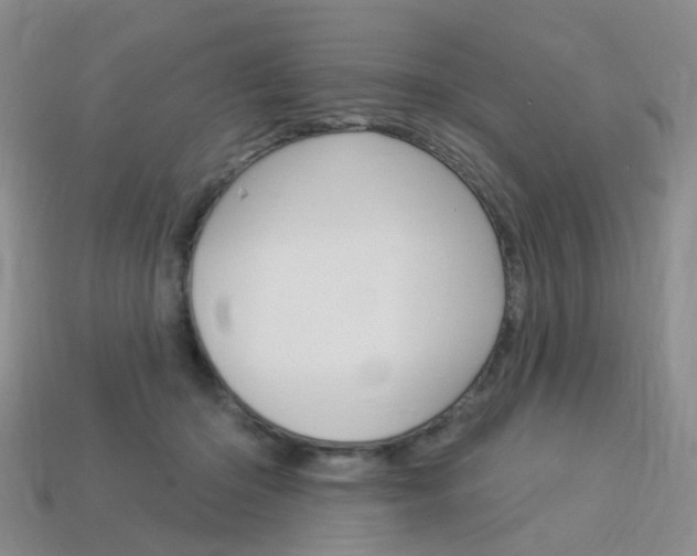 X0000114100414200910051234