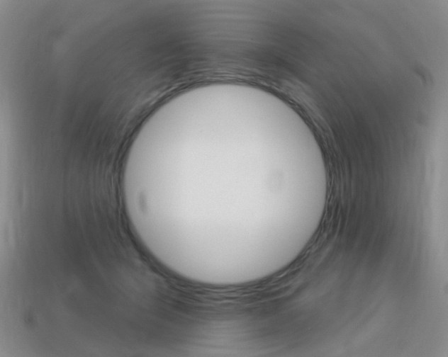 X0000114100415200910051234