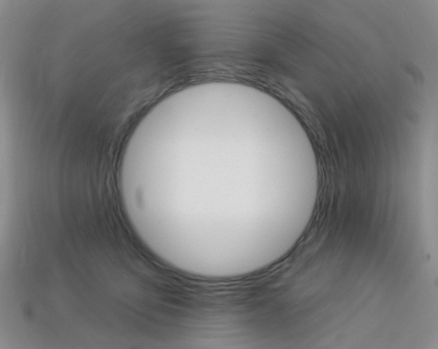 X0000114100419200910051234