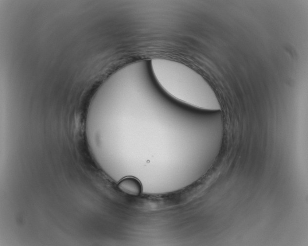 X0000114100420200910051234