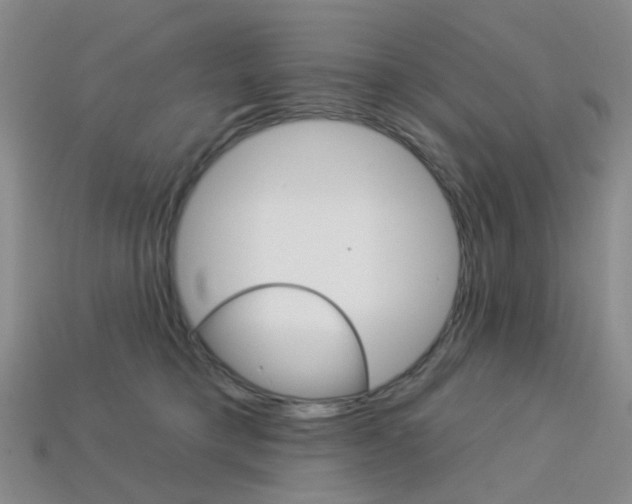 X0000114100421200910051234