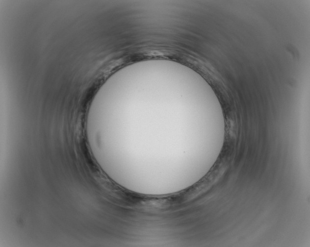 X0000114100422200910051234