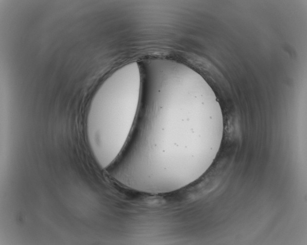 X0000114100424200910051234