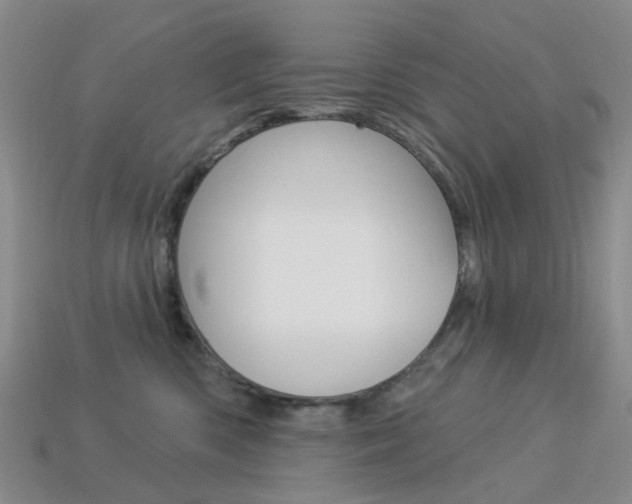 X0000114100426200910051234