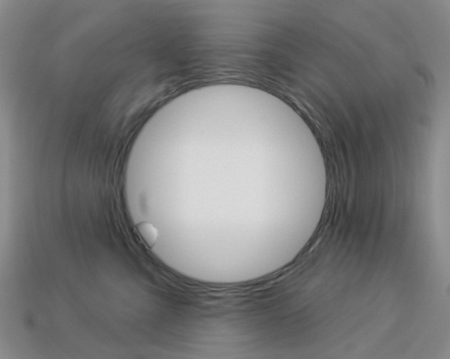 X0000114100427200910051234