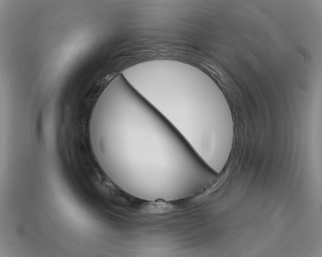 X0000114100429200910051234