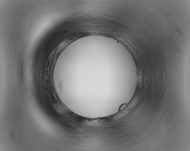 X0000114100430200910051234