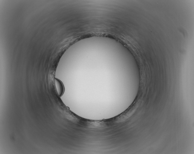 X0000114100432200910051234