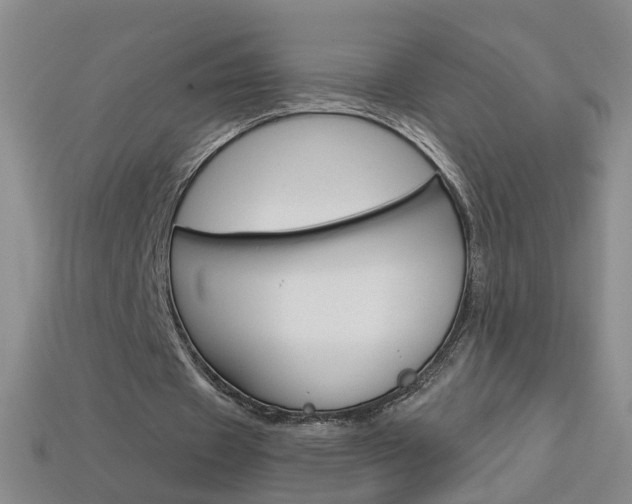 X0000114100433200910051234