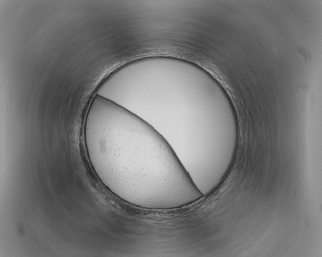 X0000114100434200910051234