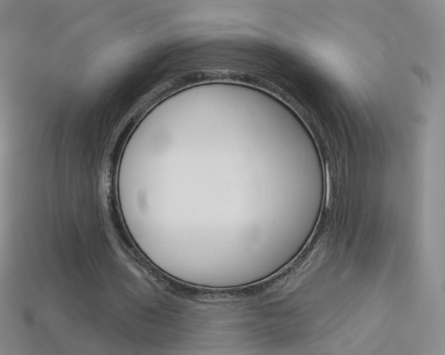 X0000114100435200910051234