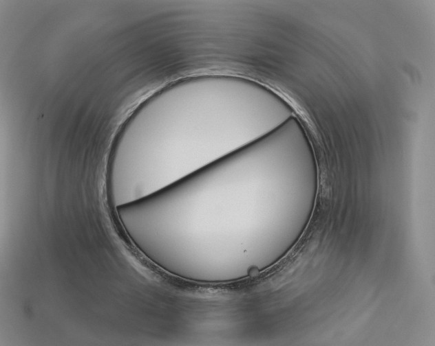 X0000114100437200910051234