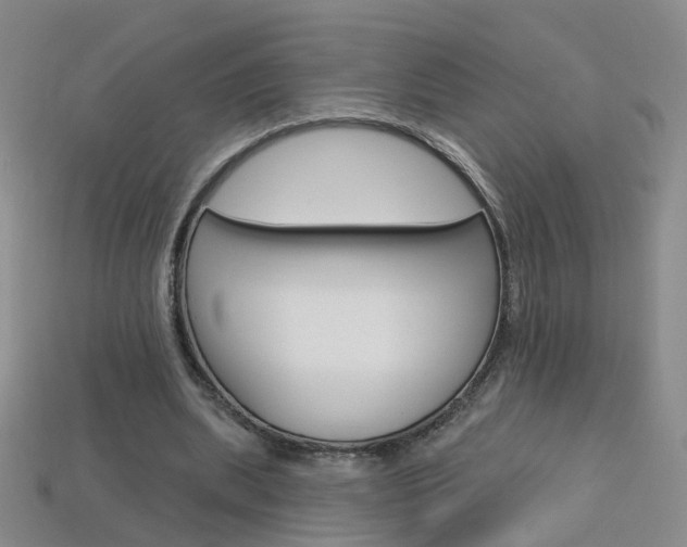 X0000114100439200910051234