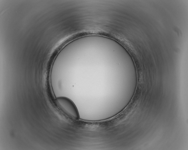 X0000114100440200910051234